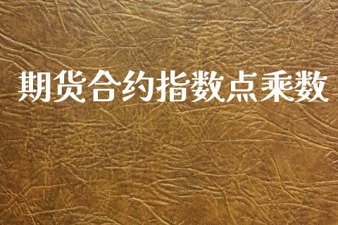 期货合约指数点乘数_https://www.gongyisiwang.com_股指期货交易手续费_第1张