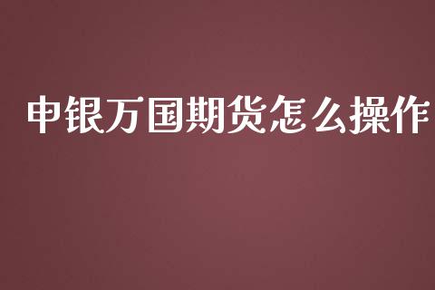申银万国期货怎么操作_https://www.gongyisiwang.com_期货公司手续费排名_第1张