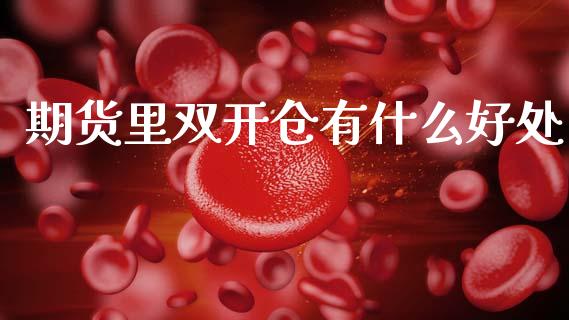期货里双开仓有什么好处_https://www.gongyisiwang.com_股指期货交易手续费_第1张