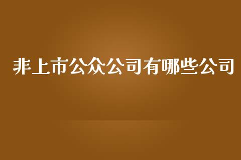 非上市公众公司有哪些公司_https://www.gongyisiwang.com_恒指期货_第1张