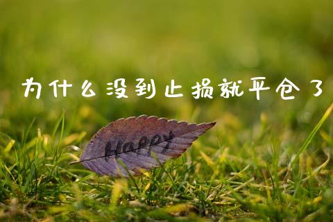 为什么没到止损就平仓了_https://www.gongyisiwang.com_恒指期货_第1张