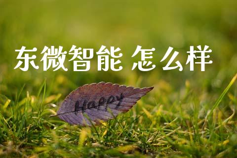 东微智能 怎么样_https://www.gongyisiwang.com_原油期货_第1张