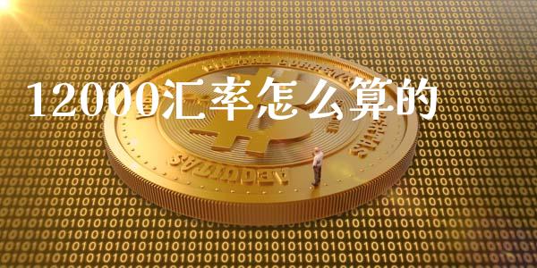 12000汇率怎么算的_https://www.gongyisiwang.com_焦炭期货手续费_第1张