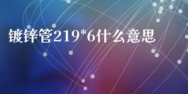 镀锌管219*6什么意思_https://www.gongyisiwang.com_期货公司手续费排名_第1张