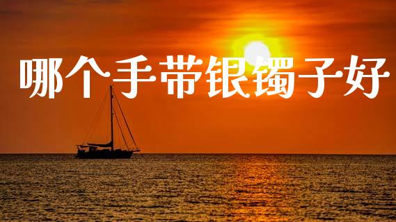 哪个手带银镯子好_https://www.gongyisiwang.com_焦炭期货手续费_第1张