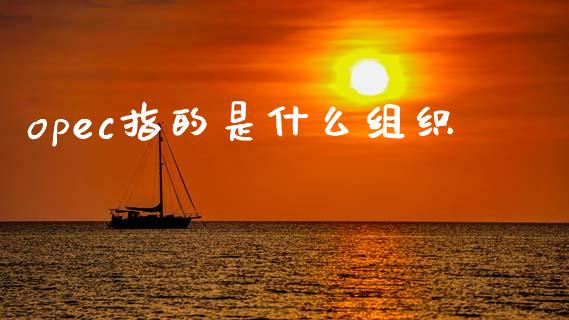 opec指的是什么组织_https://www.gongyisiwang.com_焦炭期货手续费_第1张