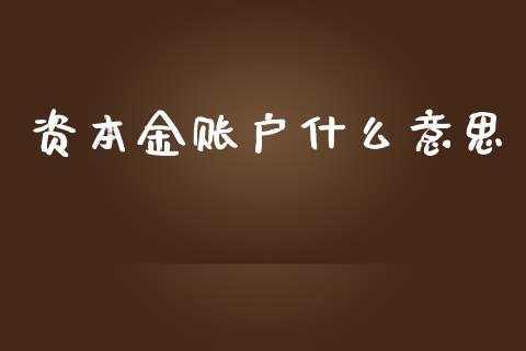 资本金账户什么意思_https://www.gongyisiwang.com_焦炭期货手续费_第1张