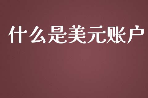 什么是美元账户_https://www.gongyisiwang.com_股指期货交易手续费_第1张
