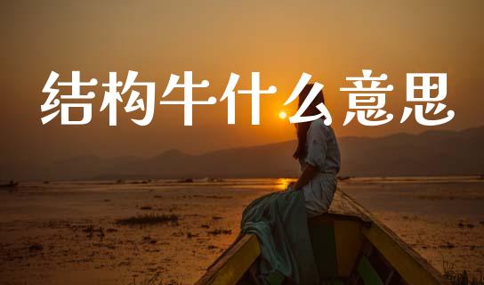 结构牛什么意思_https://www.gongyisiwang.com_恒指期货_第1张