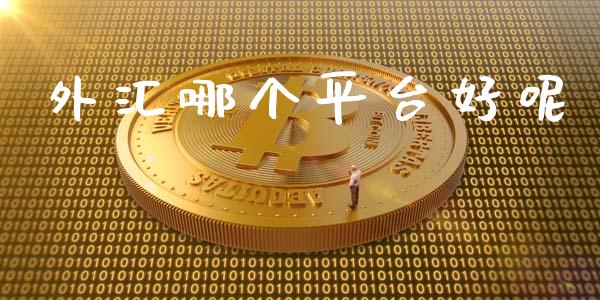 外汇哪个平台好呢_https://www.gongyisiwang.com_股指期货交易手续费_第1张