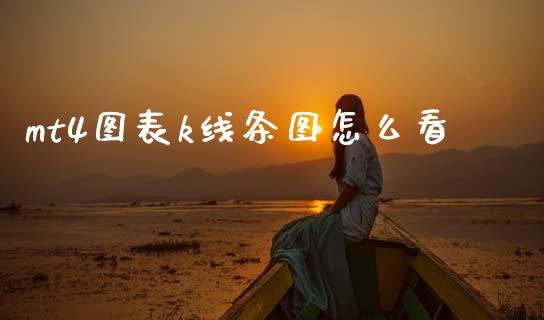 mt4图表k线条图怎么看_https://www.gongyisiwang.com_恒指期货_第1张