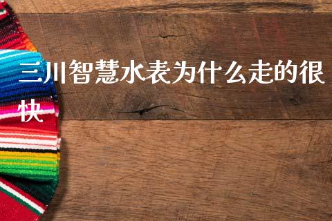 三川智慧水表为什么走的很快_https://www.gongyisiwang.com_广发期货手续费_第1张