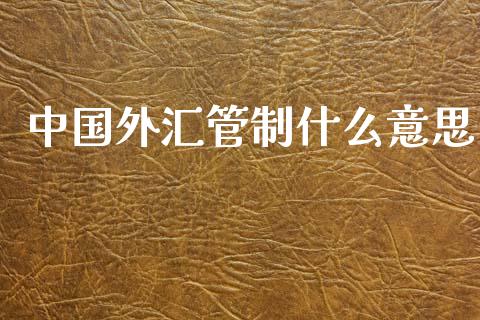 中国外汇管制什么意思_https://www.gongyisiwang.com_焦炭期货手续费_第1张