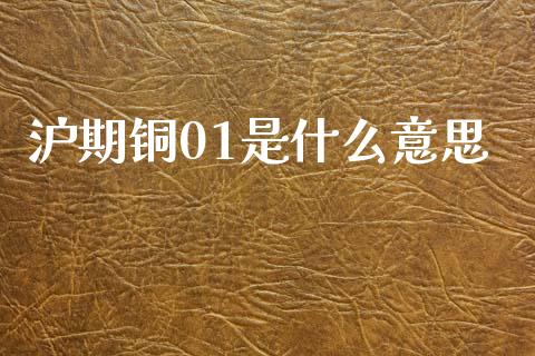 沪期铜01是什么意思_https://www.gongyisiwang.com_股指期货交易手续费_第1张