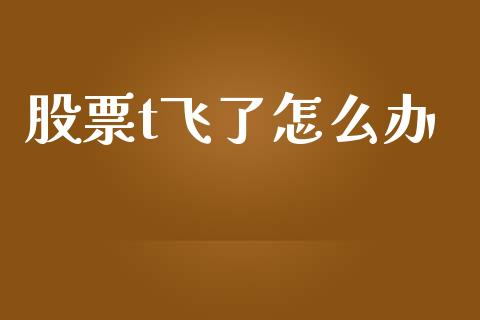 股票t飞了怎么办_https://www.gongyisiwang.com_道指_第1张