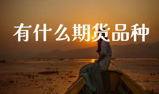 有什么期货品种_https://www.gongyisiwang.com_广发期货手续费_第1张