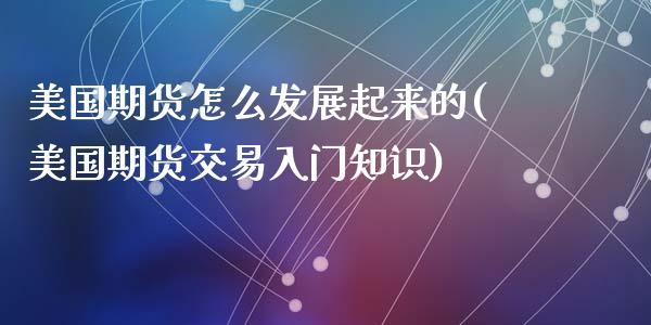 美国期货怎么发展起来的(美国期货交易入门知识)_https://www.gongyisiwang.com_股指期货交易手续费_第1张