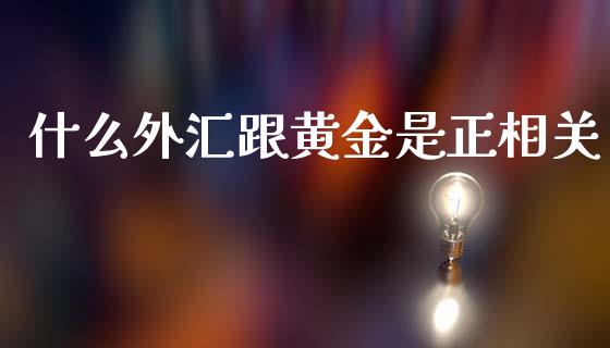 什么外汇跟黄金是正相关_https://www.gongyisiwang.com_广发期货手续费_第1张