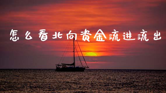 怎么看北向资金流进流出_https://www.gongyisiwang.com_股指期货_第1张