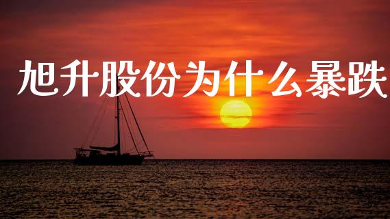 旭升股份为什么暴跌_https://www.gongyisiwang.com_焦炭期货手续费_第1张