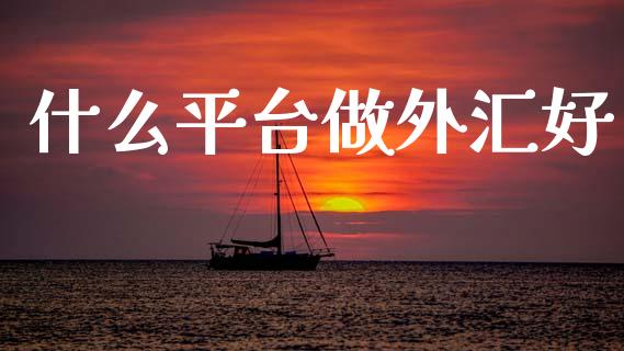 什么平台做外汇好_https://www.gongyisiwang.com_恒指期货_第1张