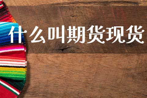 什么叫期货现货_https://www.gongyisiwang.com_股指期货_第1张