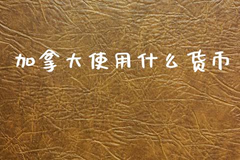 加拿大使用什么货币_https://www.gongyisiwang.com_焦炭期货手续费_第1张