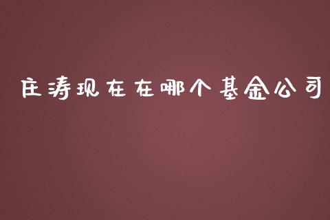 庄涛现在在哪个基金公司_https://www.gongyisiwang.com_期货公司手续费排名_第1张