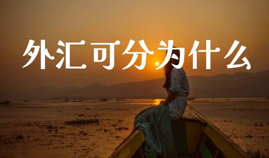 外汇可分为什么_https://www.gongyisiwang.com_原油期货_第1张