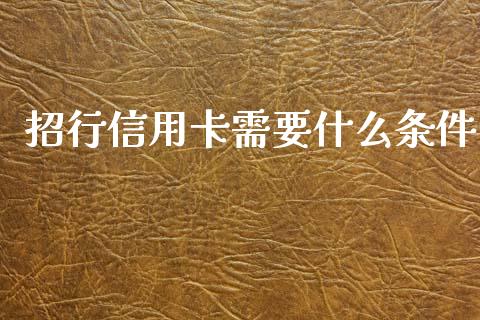 招行信用卡需要什么条件_https://www.gongyisiwang.com_广发期货手续费_第1张