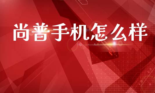 尚普手机怎么样_https://www.gongyisiwang.com_恒指期货_第1张