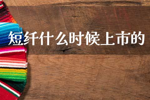短纤什么时候上市的_https://www.gongyisiwang.com_广发期货手续费_第1张