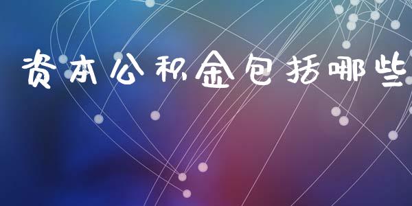 资本公积金包括哪些_https://www.gongyisiwang.com_恒指期货_第1张