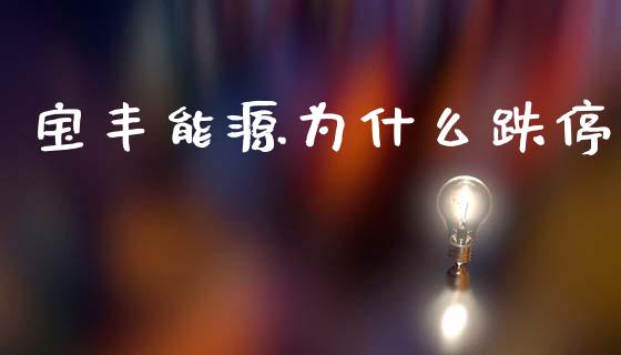 宝丰能源为什么跌停_https://www.gongyisiwang.com_道指_第1张