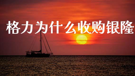 格力为什么收购银隆_https://www.gongyisiwang.com_道指_第1张