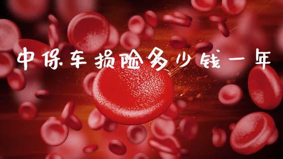 中保车损险多少钱一年_https://www.gongyisiwang.com_股指期货交易手续费_第1张