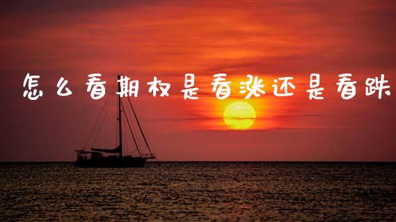 怎么看期权是看涨还是看跌_https://www.gongyisiwang.com_股指期货交易手续费_第1张
