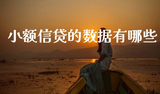 小额信贷的数据有哪些_https://www.gongyisiwang.com_道指_第1张