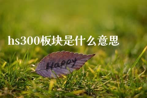 hs300板块是什么意思_https://www.gongyisiwang.com_广发期货手续费_第1张