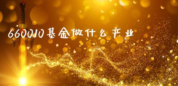660010基金做什么产业_https://www.gongyisiwang.com_广发期货手续费_第1张