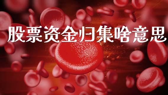 股票资金归集啥意思_https://www.gongyisiwang.com_道指_第1张