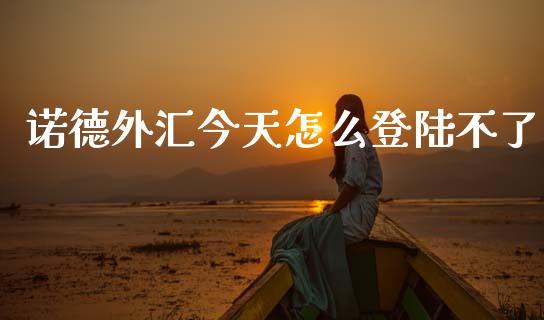 诺德外汇今天怎么登陆不了_https://www.gongyisiwang.com_道指_第1张