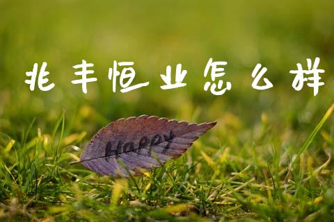 兆丰恒业怎么样_https://www.gongyisiwang.com_股指期货_第1张