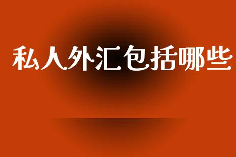 私人外汇包括哪些_https://www.gongyisiwang.com_恒指期货_第1张