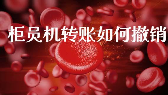 柜员机转账如何撤销_https://www.gongyisiwang.com_股指期货交易手续费_第1张