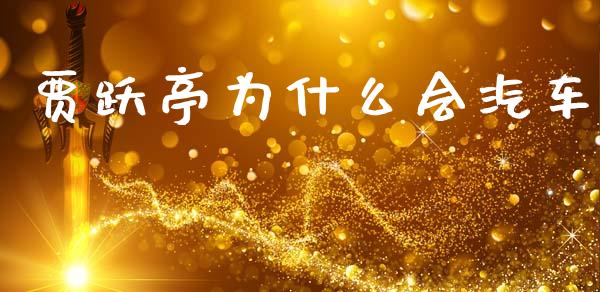 贾跃亭为什么会汽车_https://www.gongyisiwang.com_股指期货_第1张