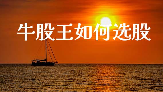 牛股王如何选股_https://www.gongyisiwang.com_股指期货_第1张