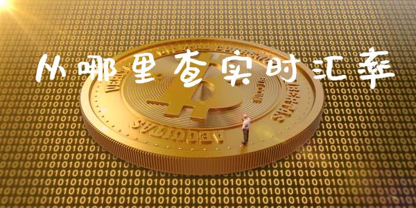 从哪里查实时汇率_https://www.gongyisiwang.com_期货公司手续费排名_第1张