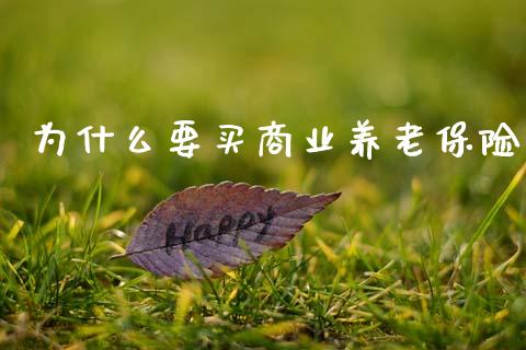 为什么要买商业养老保险_https://www.gongyisiwang.com_股指期货交易手续费_第1张