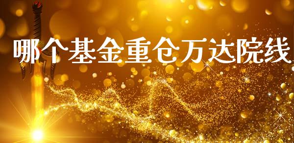 哪个基金重仓万达院线_https://www.gongyisiwang.com_原油期货_第1张